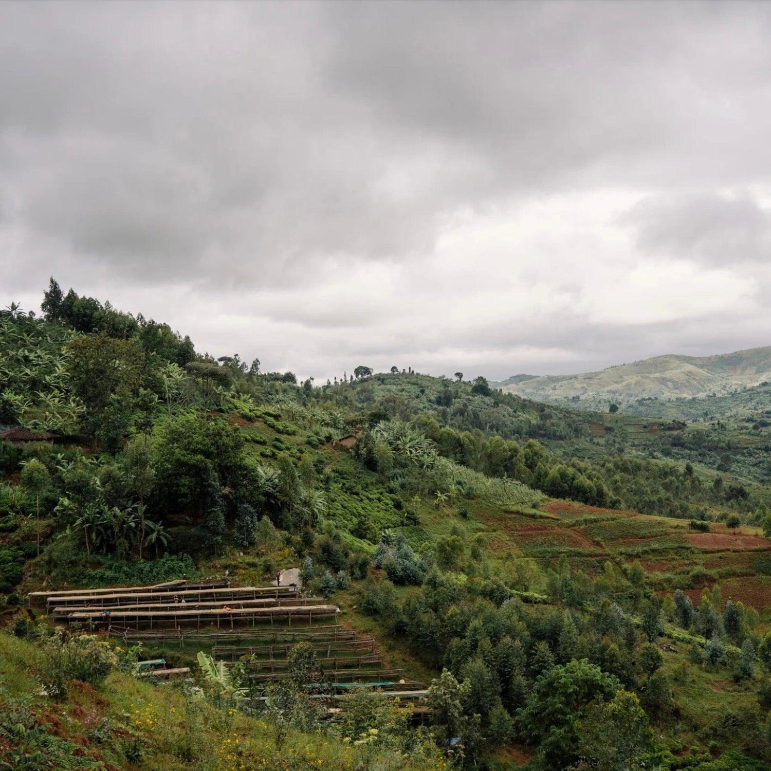 The Barn - kawa ziarnista Burundi Bumba Hill Washed Filter 250 g