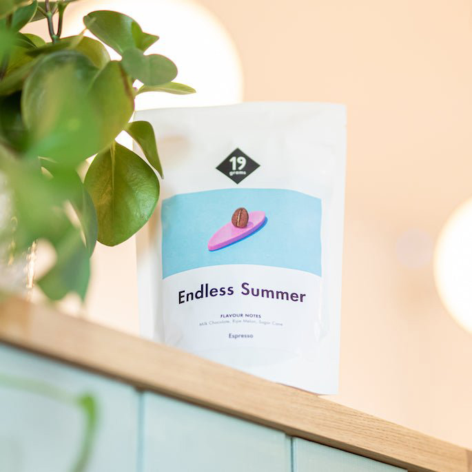 19grams - kawa ziarnista Kostaryka Endless Summer Washed Espresso 250 g