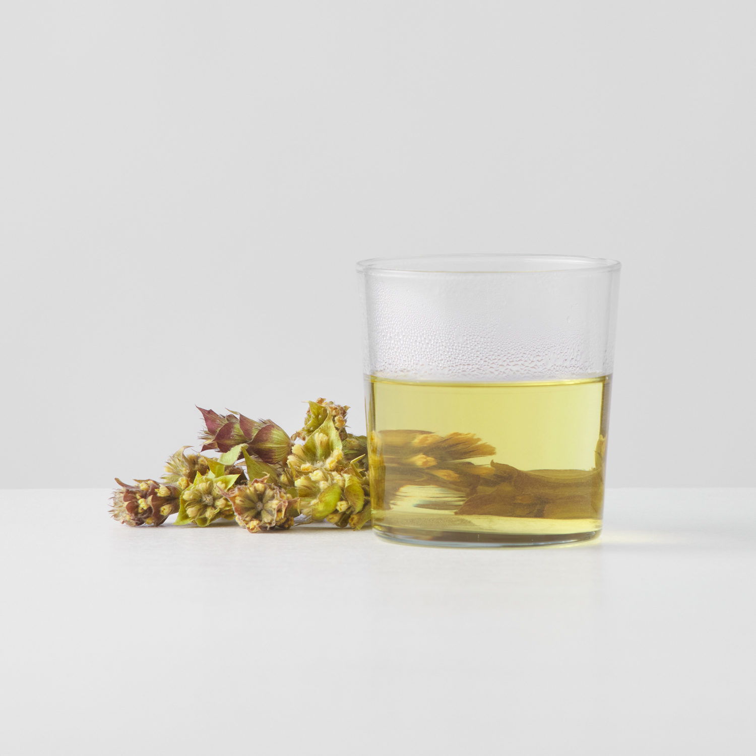 Anassa - Mountain Tea - Tin Box 20 g
