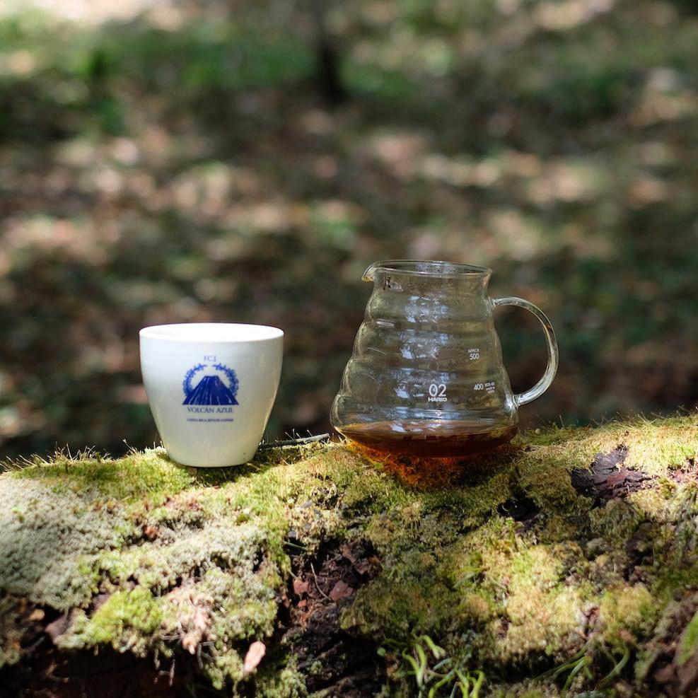 The Barn - Costa Rica Volcan Azul Gesha Red Honey Filter 200 g