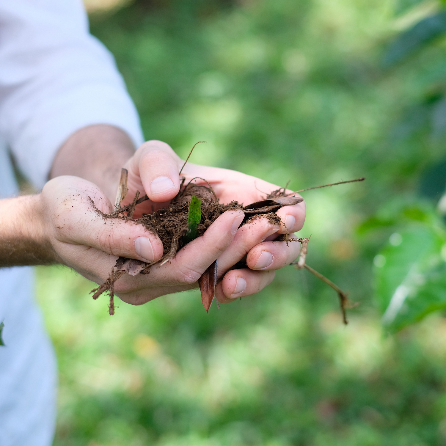 The Barn - kawa ziarnista Kostaryka Volcan Azul Natural Omniroast 250 g The Barn - kawa ziarnista Kostaryka Volcan Azul Natural Omniroast 250 g