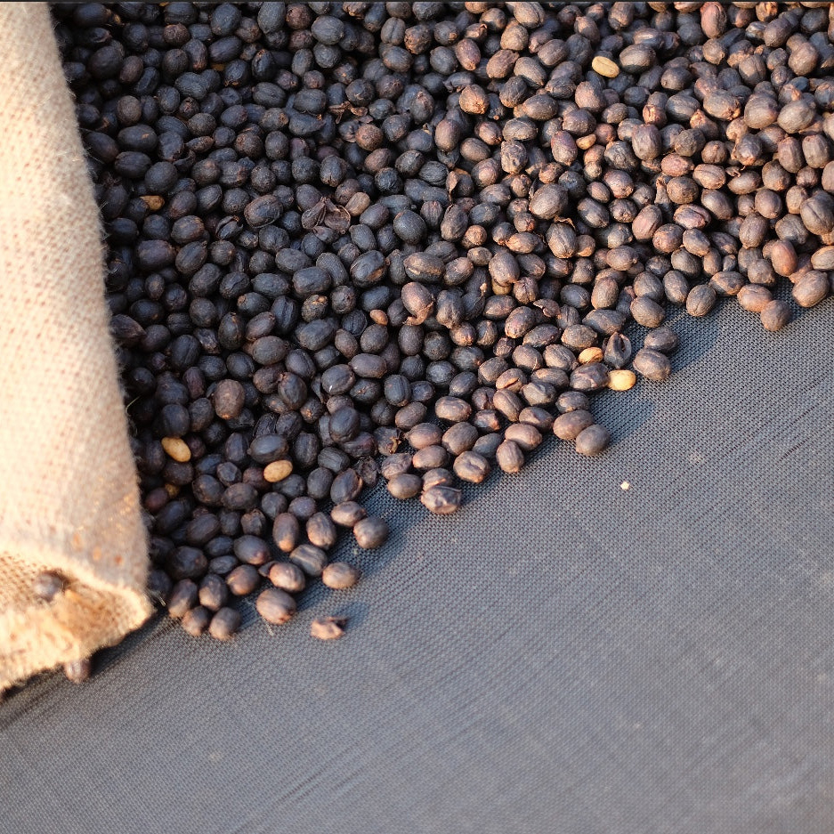 The Barn - Brazil Vanessa Moreno Anaerobic Filter 250 g