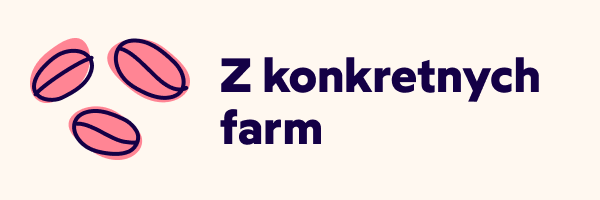 Le Piantagioni del Caffe