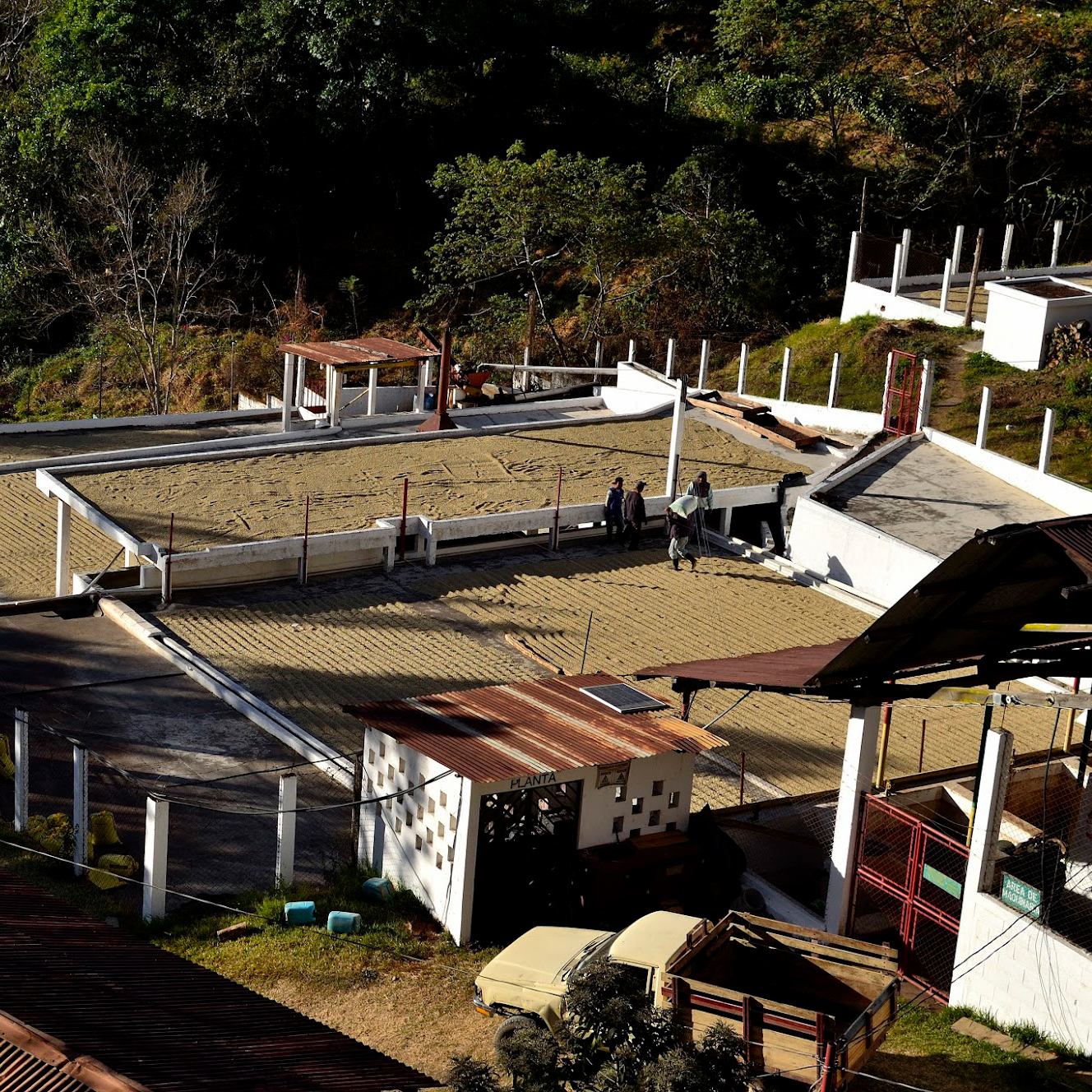 Heresy - kawa ziarnista Gwatemala La Soledad Washed Filter 252 g