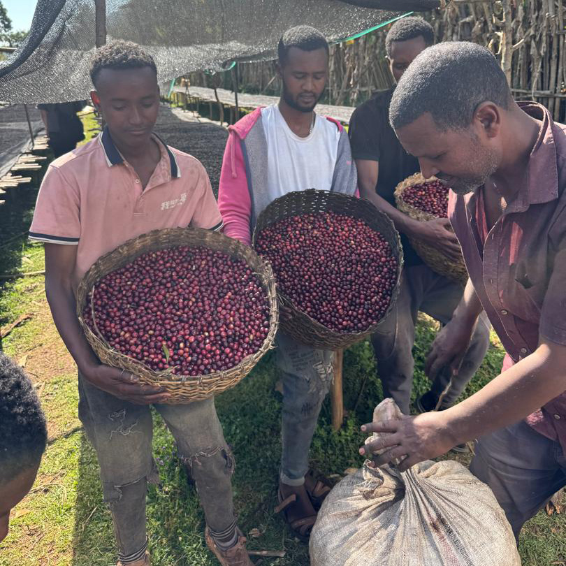 Heresy - kawa ziarnista Etiopia Nguisse Kayimo Natural Filter 252 g