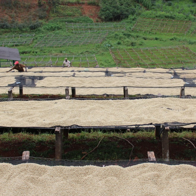 The Barn - Kenya Kii PB Washed Filter 250 g