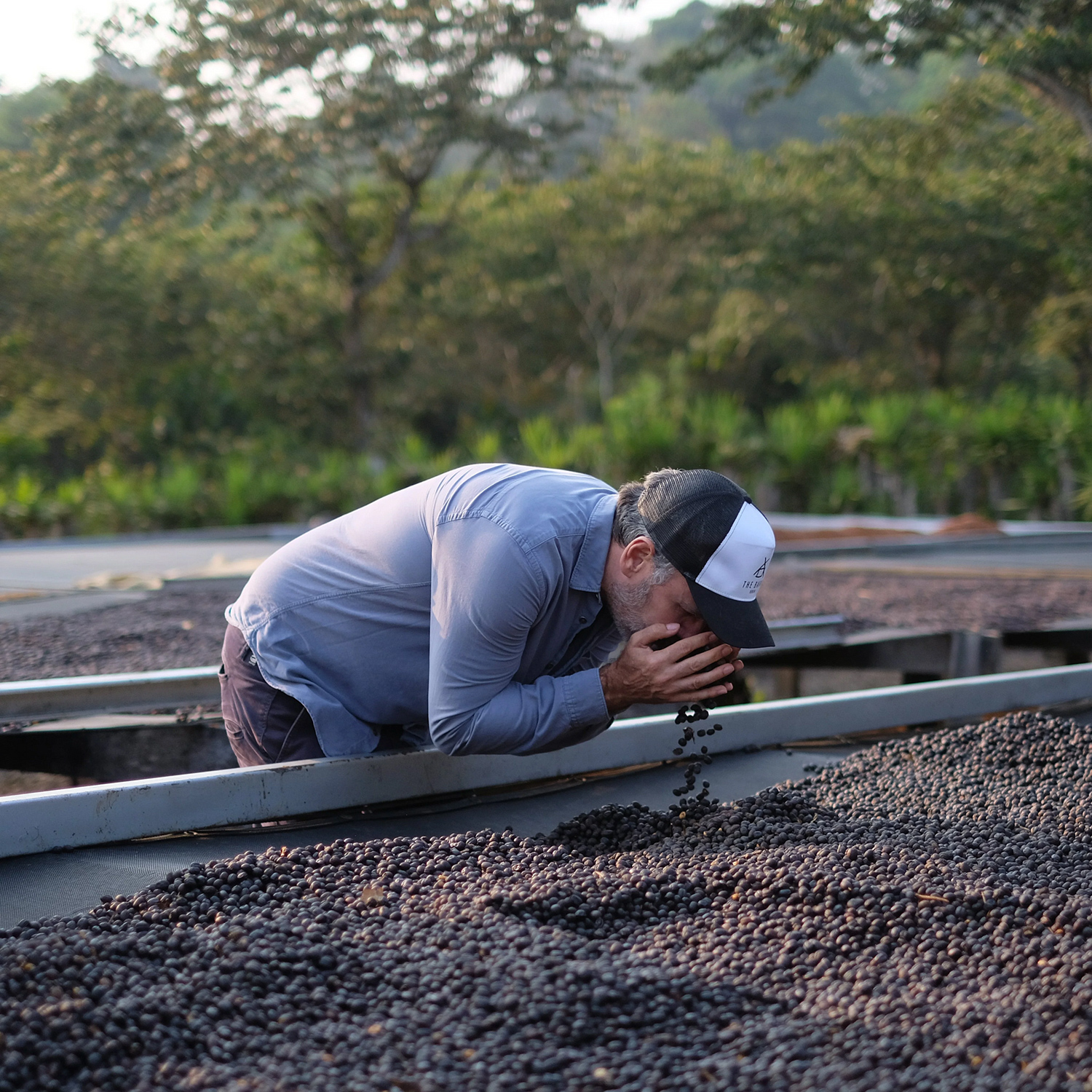 The Barn - kawa ziarnista El Salvador Himalaya Maragogype Filter 250 g