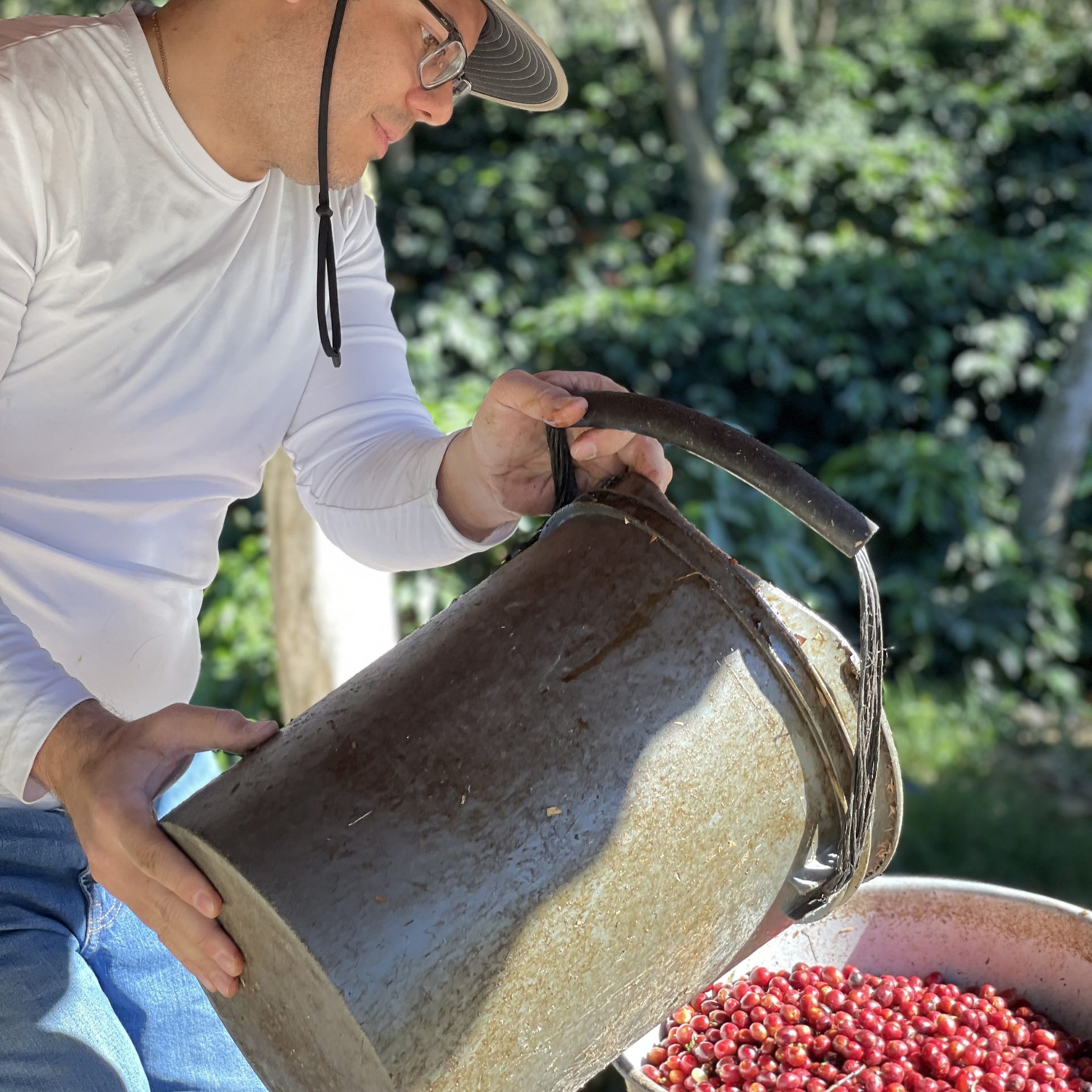 Heresy - Guatemala San Jose Del Lago Washed Filter 252 g