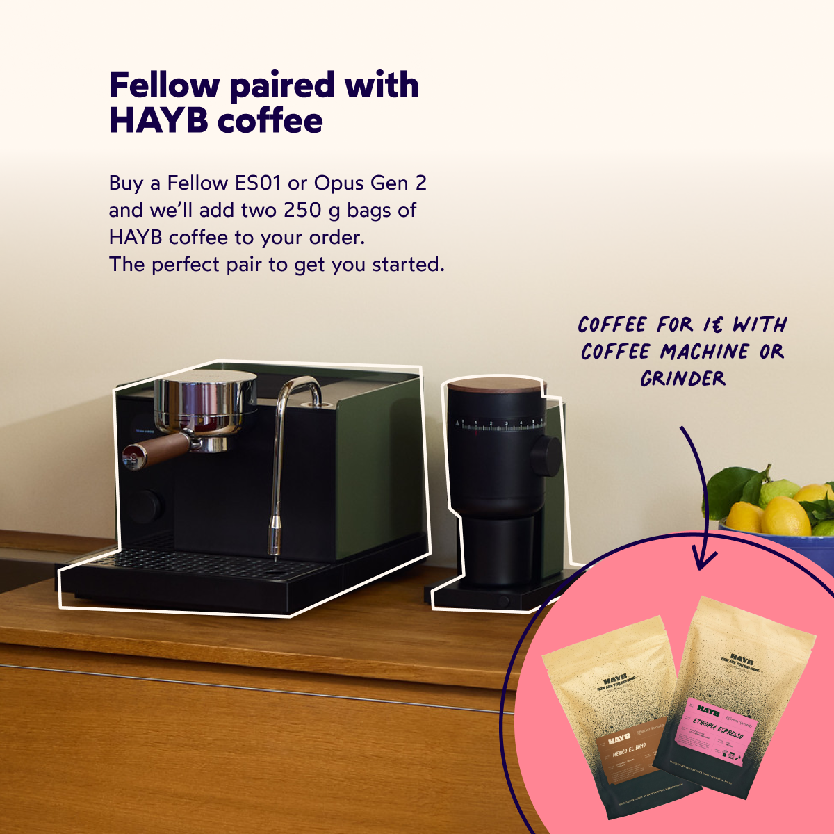 Image file: HAYBXFELLOW_COM2_LP