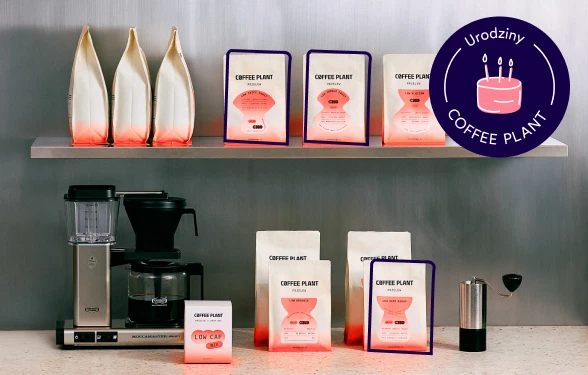 URODZINY COFFEE PLANT