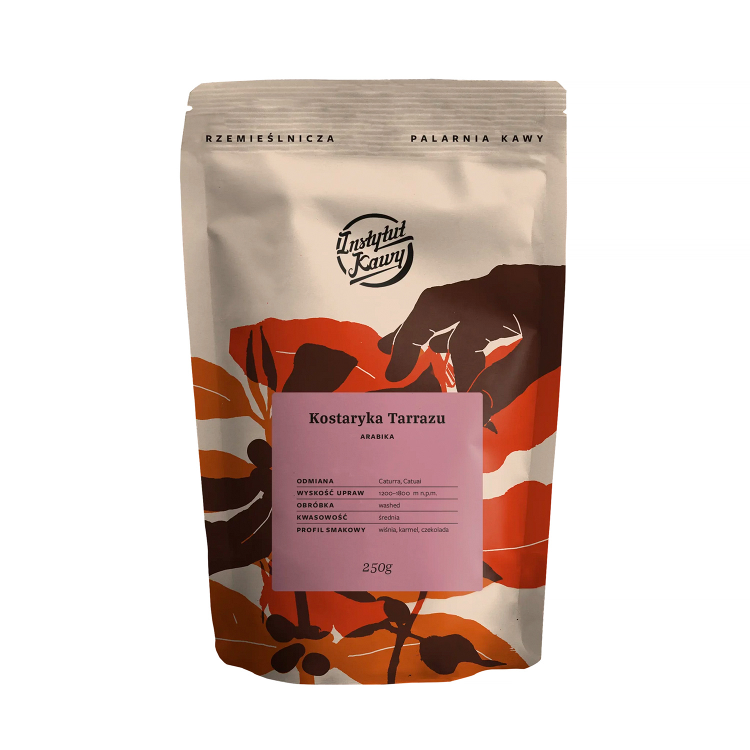 Instytut Kawy - Costa Rica Tarrazu Washed Espresso 1kg (outlet)