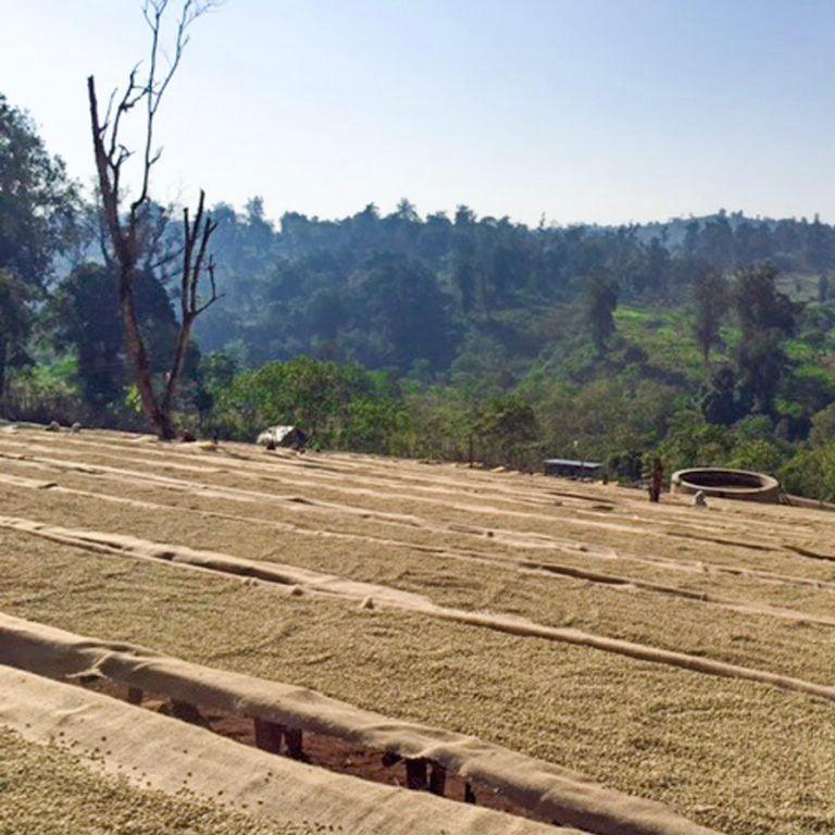 The Barn - Ethiopia Kayon Mountain Summer Coffee Washed Filter 250 g