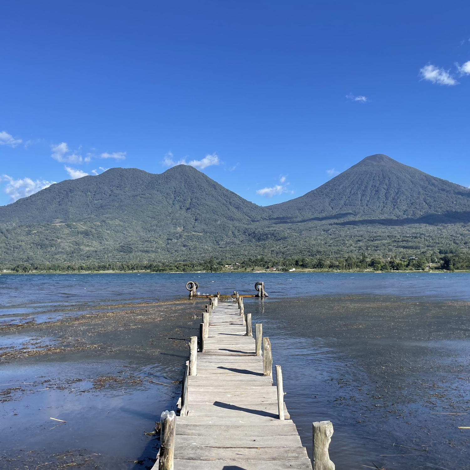 Heresy - Guatemala San Jose Del Lago Washed Filter 252 g