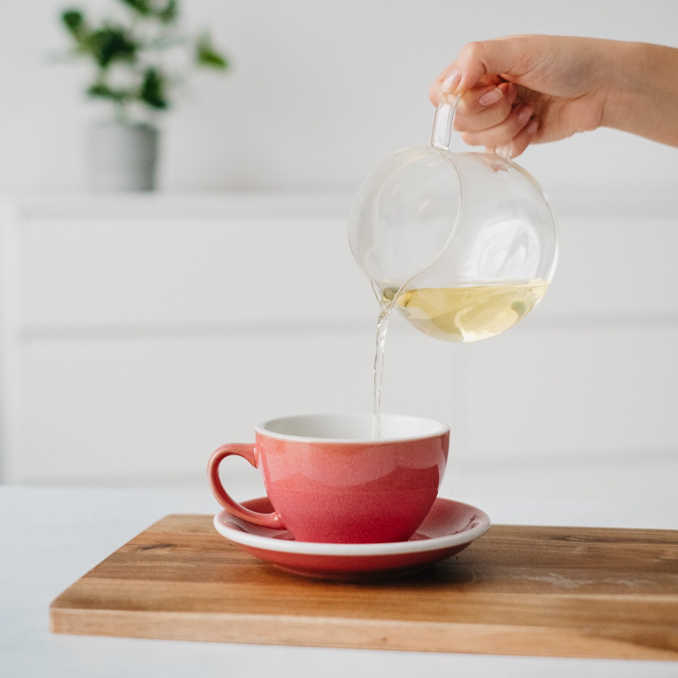 Gdzie kupić herbatę oolong