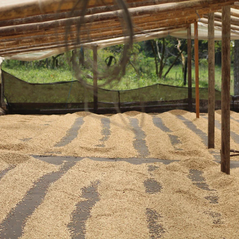 The Barn - kawa ziarnista Kolumbia Black Condor Washed Espresso 250 g