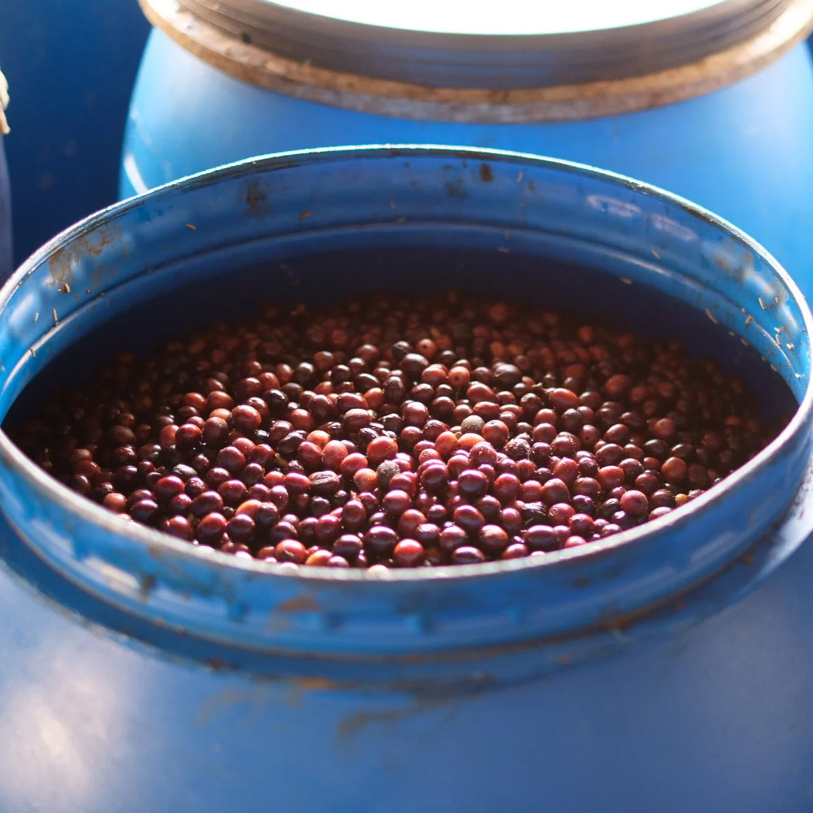 The Barn - El Salvador Himalaya Marsellesa Anaerobic Filter 250 g