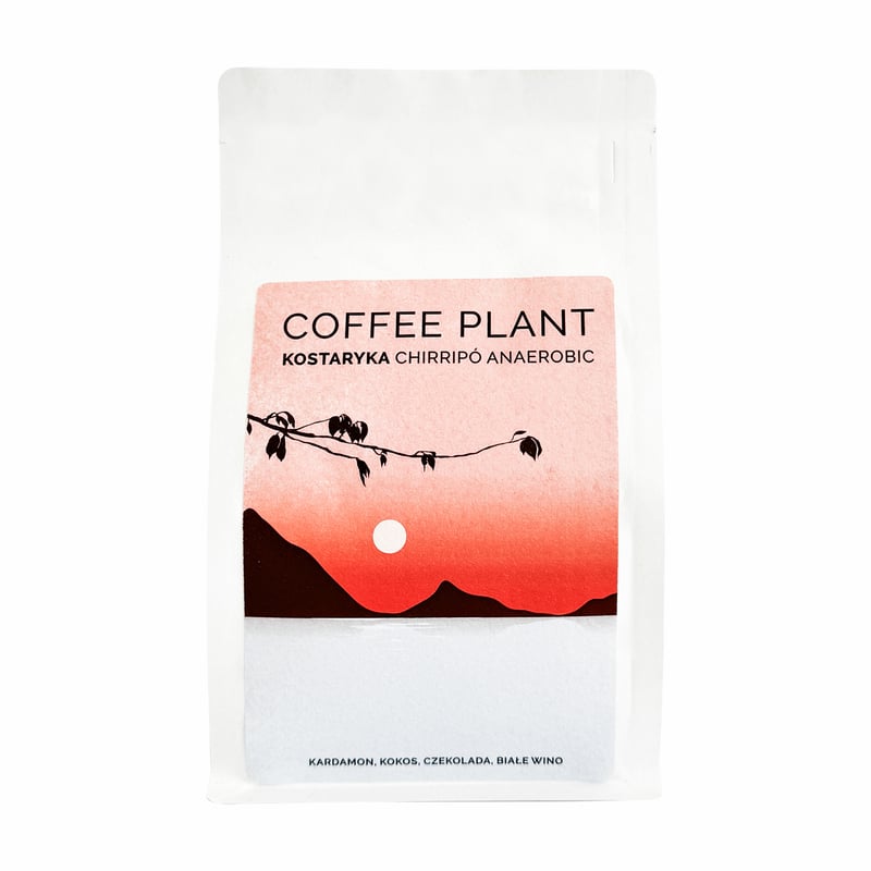 COFFEE PLANT - Costa Rica Chirripo Anaerobic Filter 250g