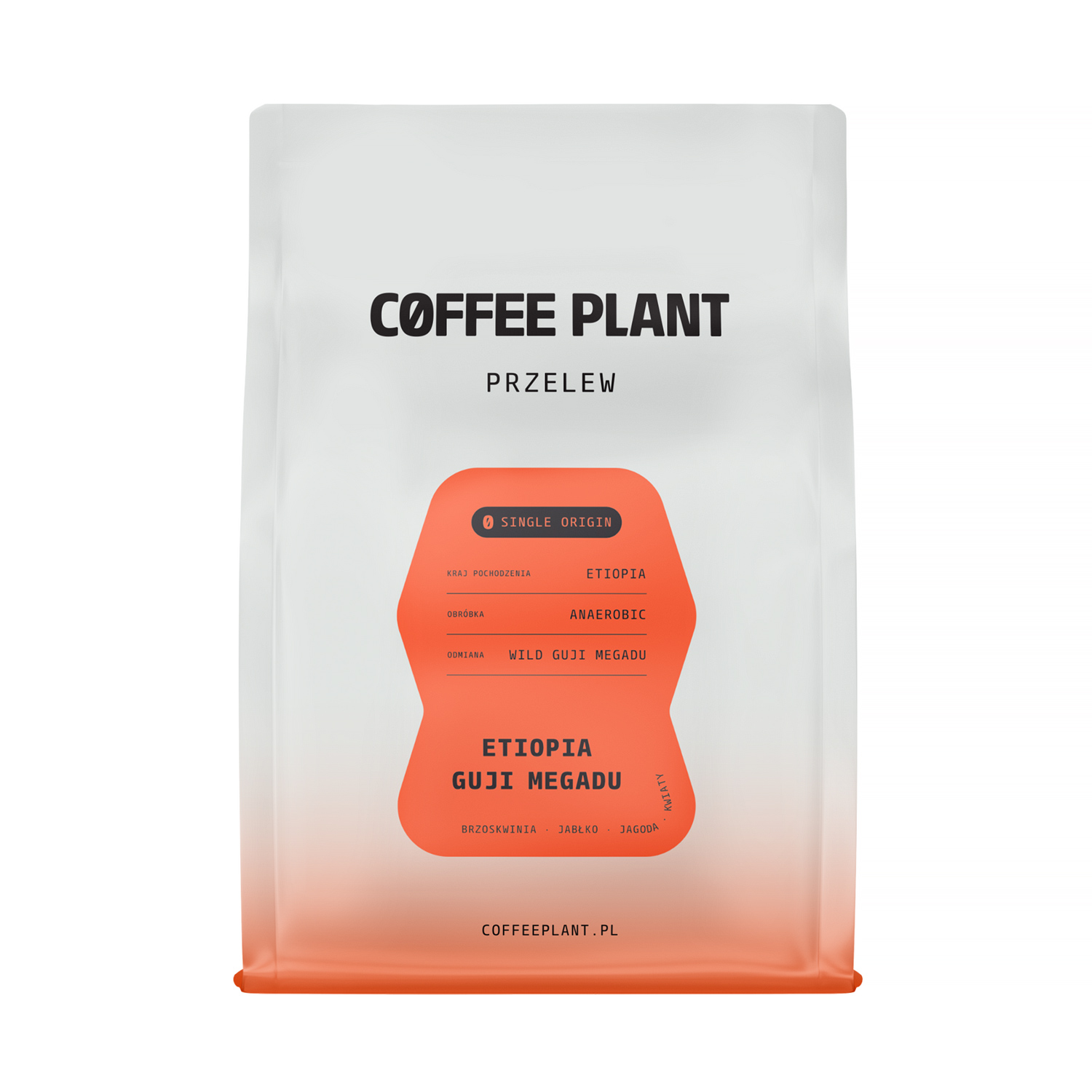 COFFEE PLANT - kawa ziarnista Etiopia Guji Megadu Anaerobic Filter 250 g