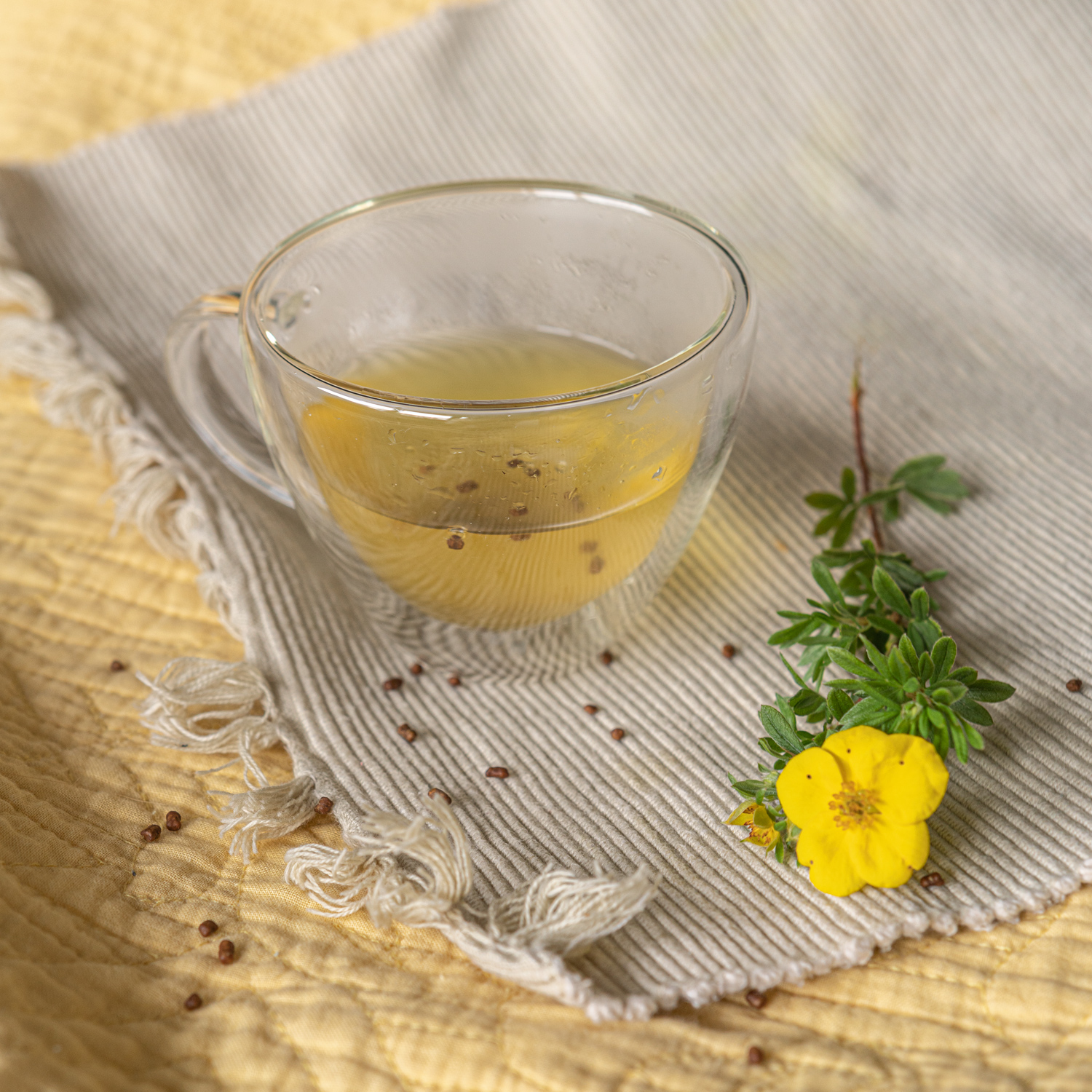 24Tea - Gingerbread Apple Soba Tea 100 g