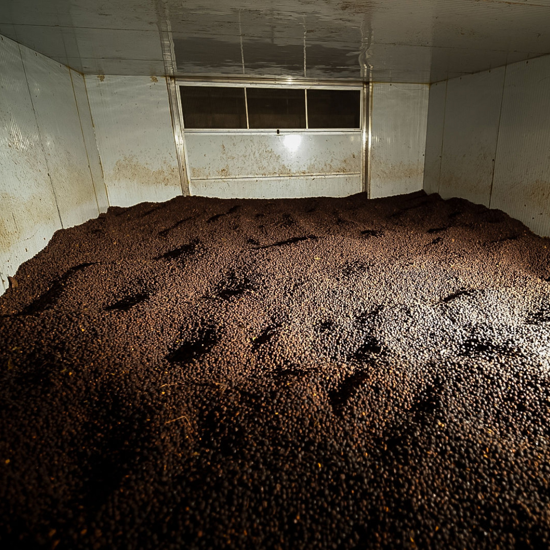 Heresy - kawa ziarnista Kolumbia Area 18 Experimental Washed Filter 252 g