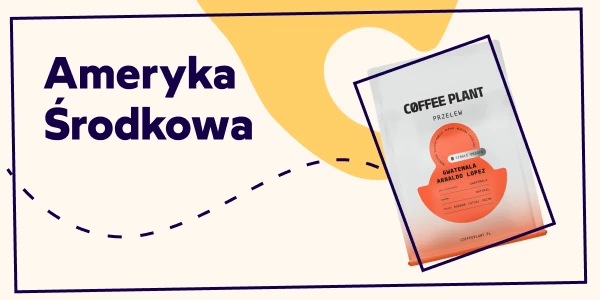 Kawowe podróże