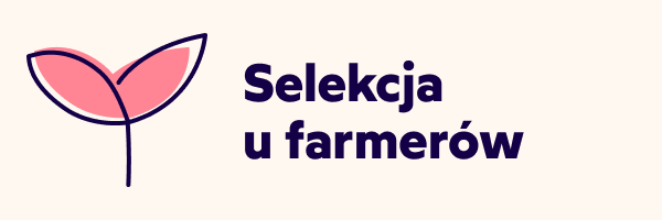 Le Piantagioni del Caffe