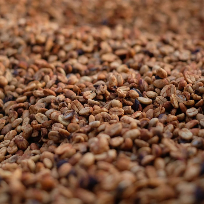 The Barn - Costa Rica Volcan Azul Gesha Red Honey Filter 200 g