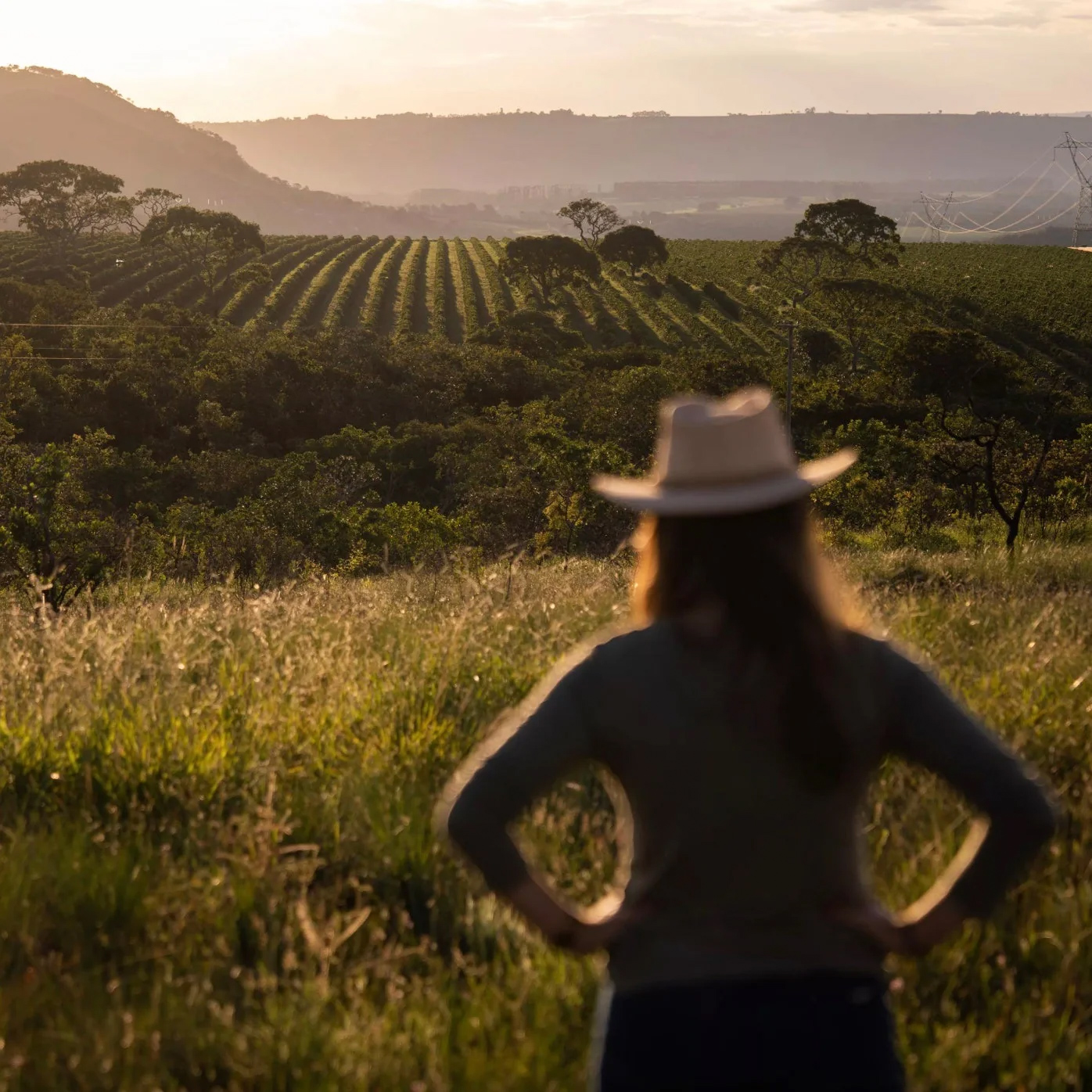 The Barn - Brazil Vanessa Moreno Anaerobic Filter 250 g