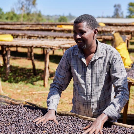 The Barn - Ethiopia Arsosala Reserve Washed Filter 250 g