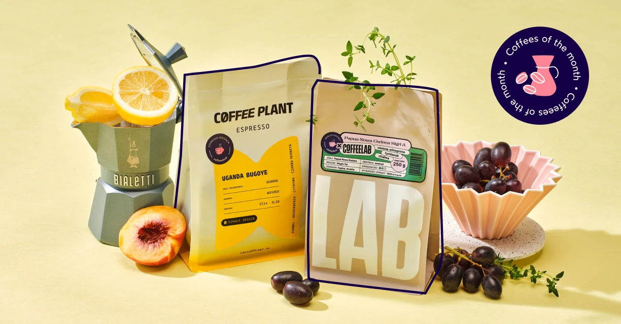 COFFEES OF THE MONTH