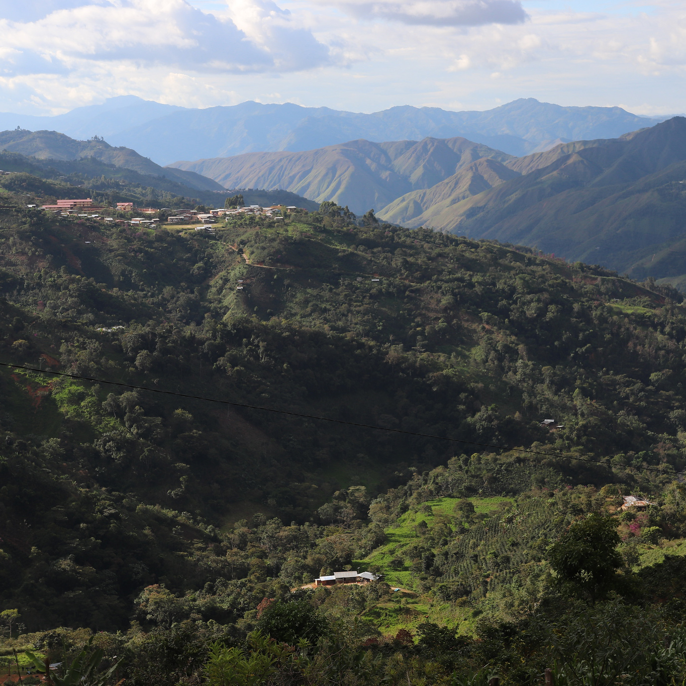 Heresy - Peru El Diamante Washed Filter 252 g