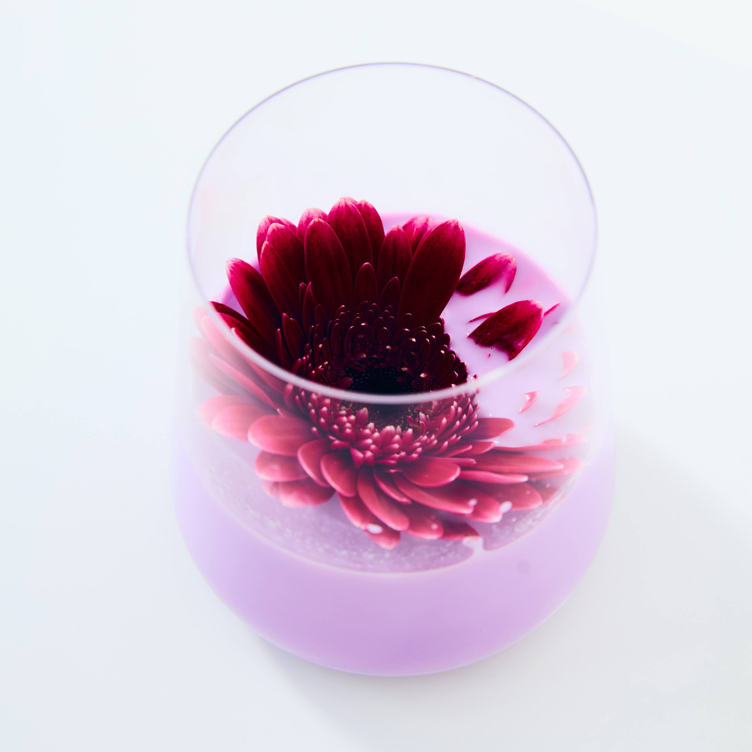 Lune Tea - proszek ube Purple Dream Ube 40 g