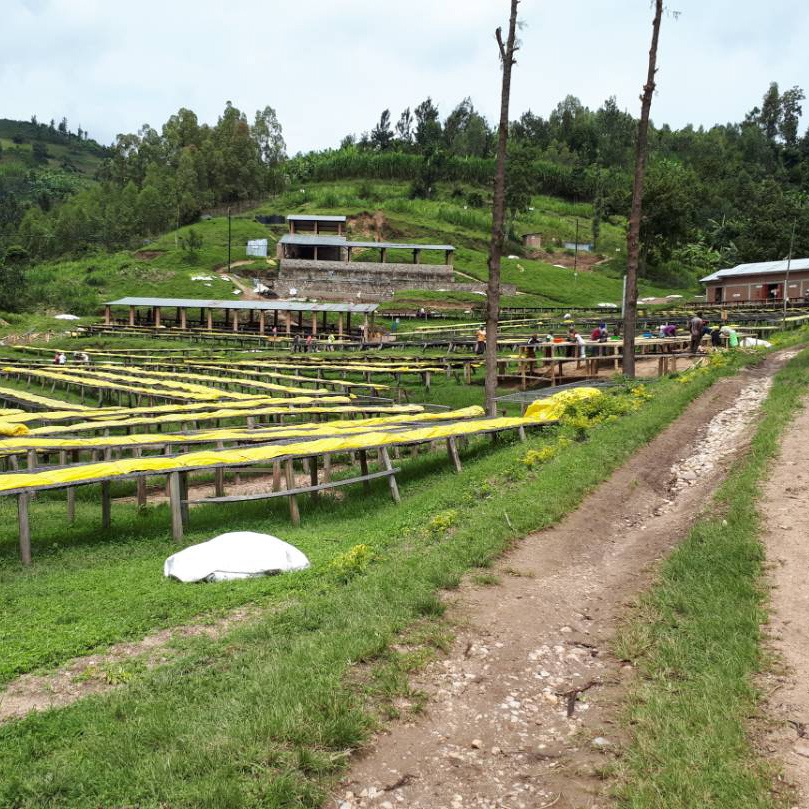 Heresy - Rwanda Rugamba Honey Filter 252 g