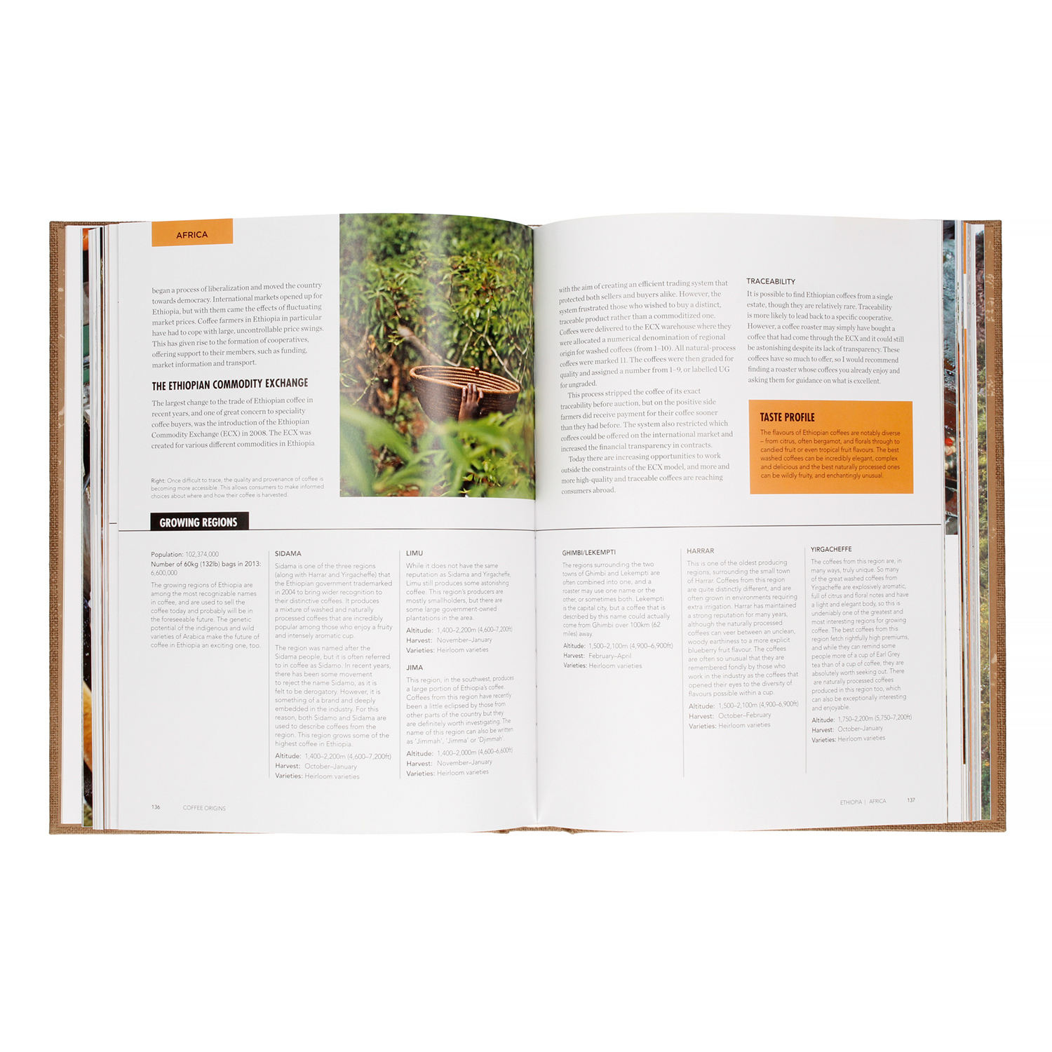 The World Atlas of Coffee 2nd Edition - James Hoffmann