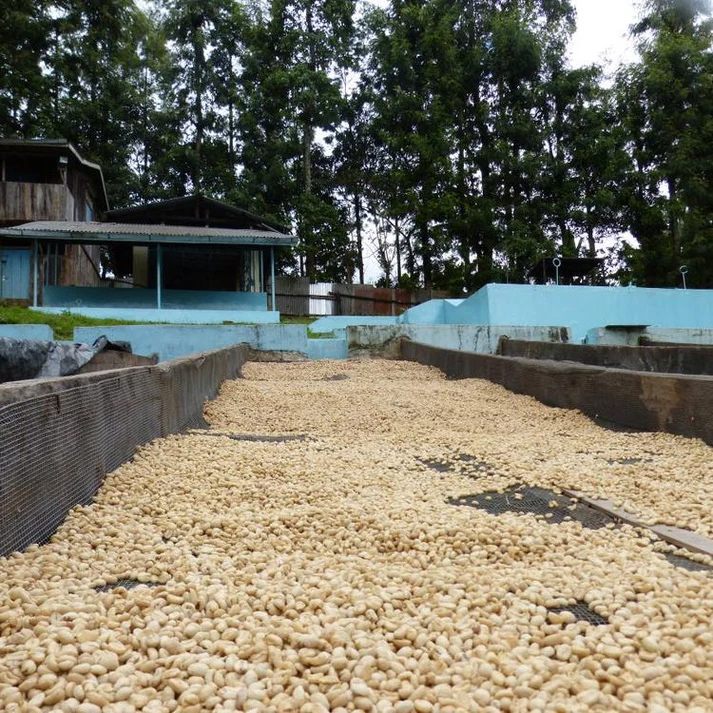 The Barn - kawa ziarnista Kenya Kiangoi AA Washed Filter 250 g