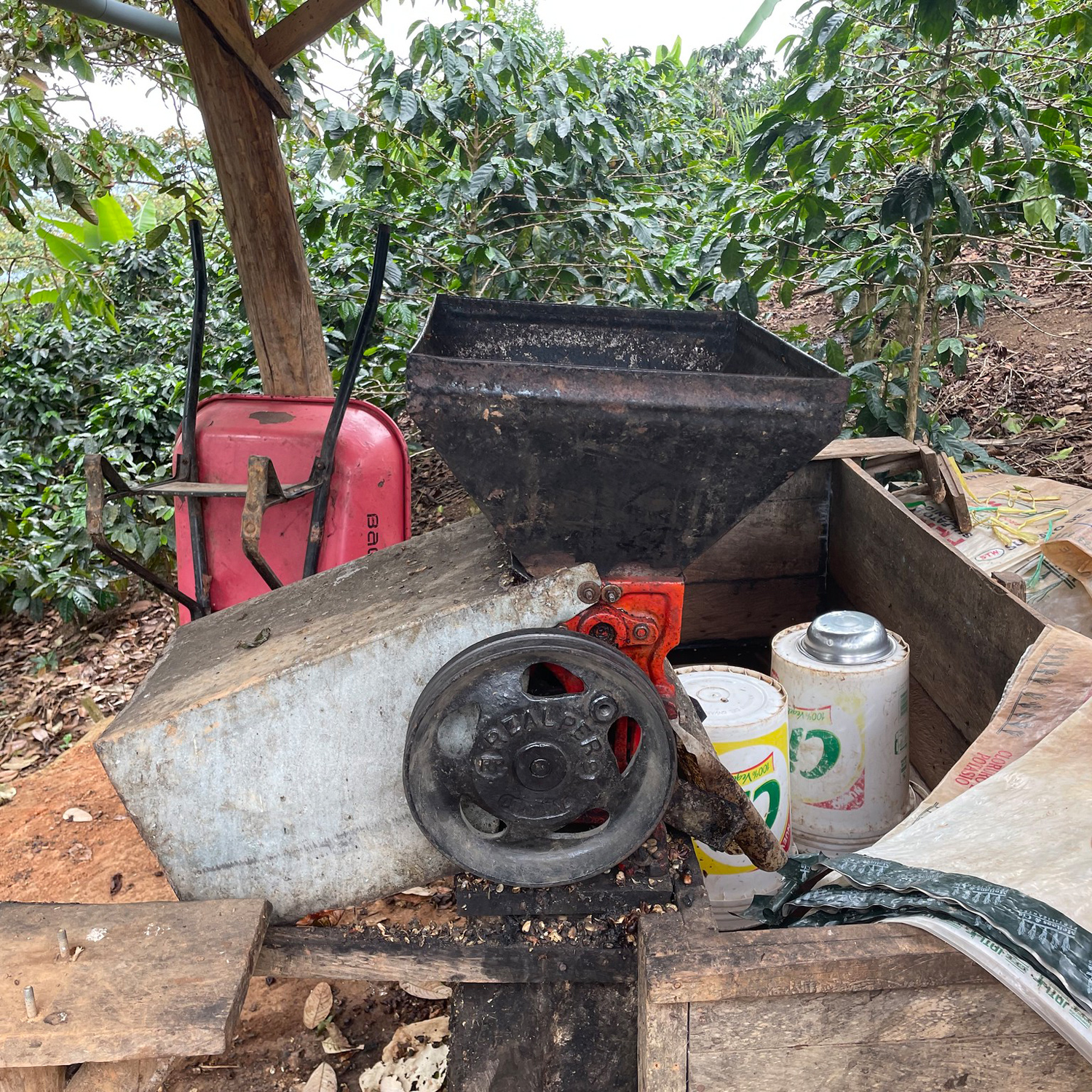 Heresy - Peru El Diamante Washed Filter 252 g