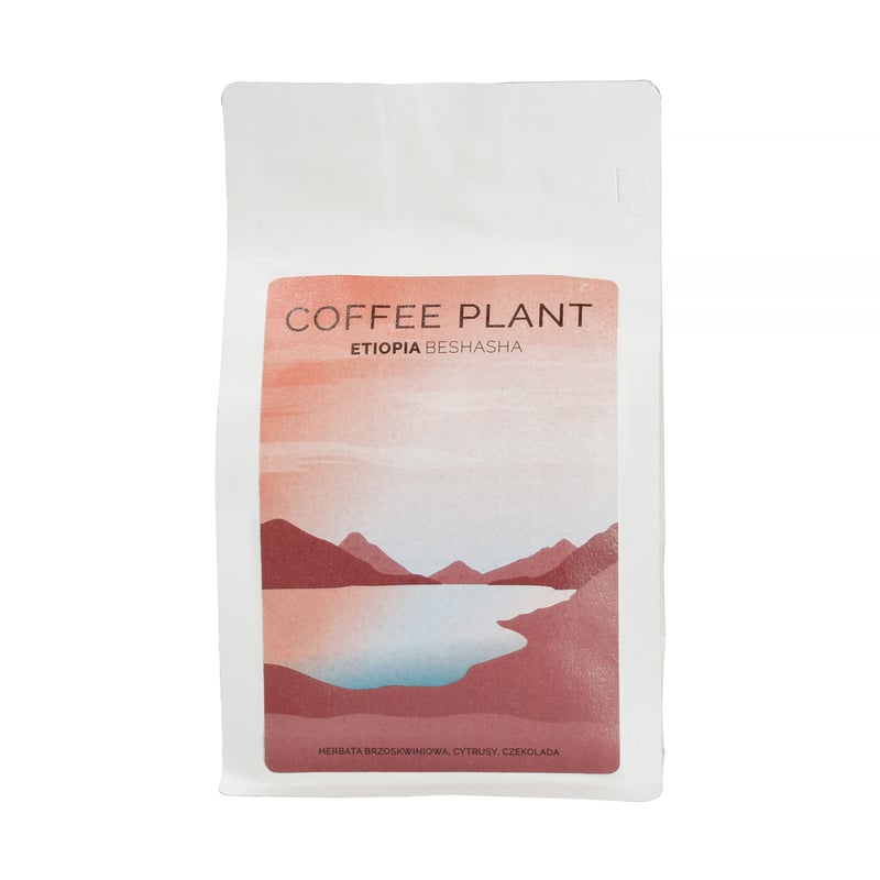 COFFEE PLANT - Etiopia Beshasha Washed Filter 250g