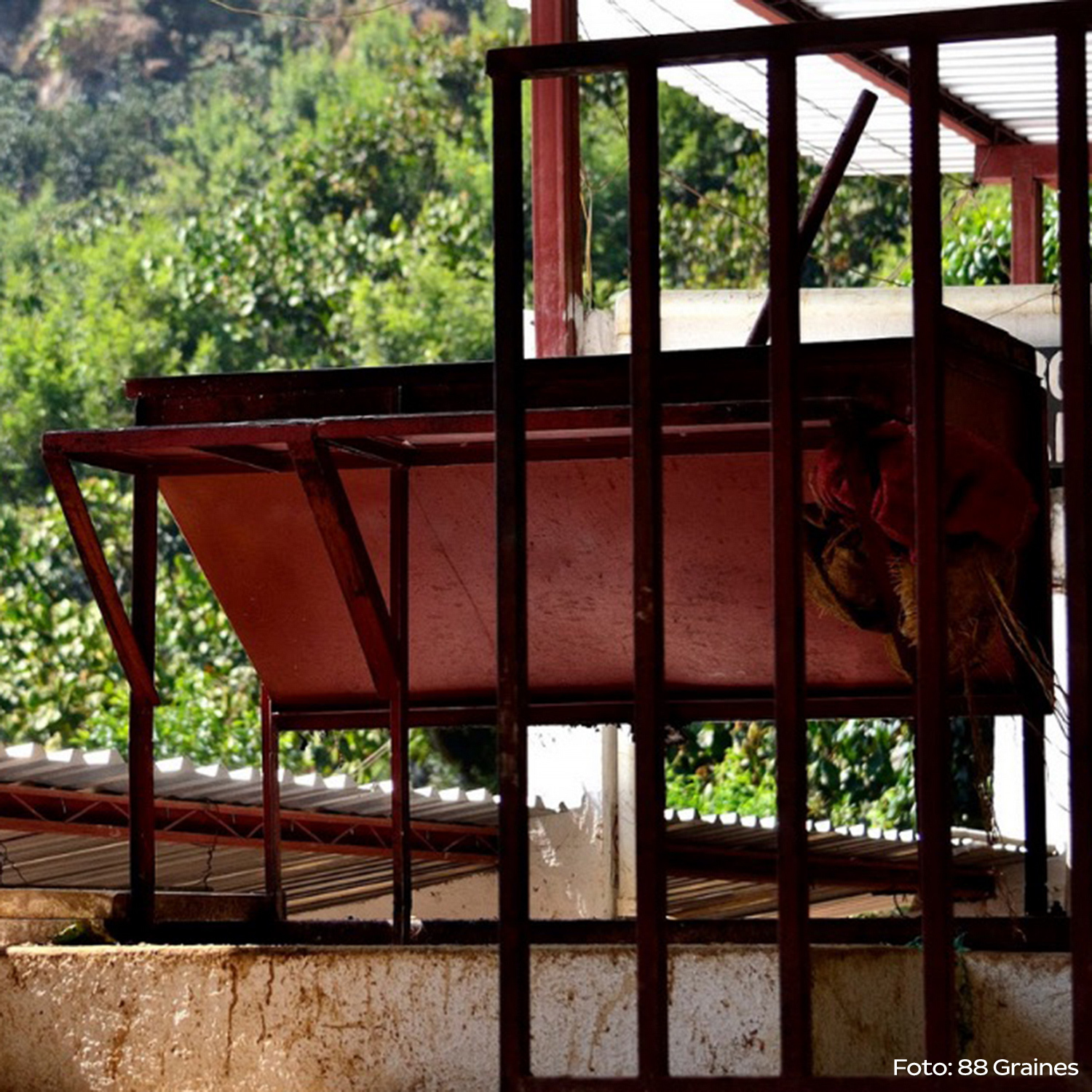 Heresy - Guatemala Huehuetenango La Maravilla Filter 252g