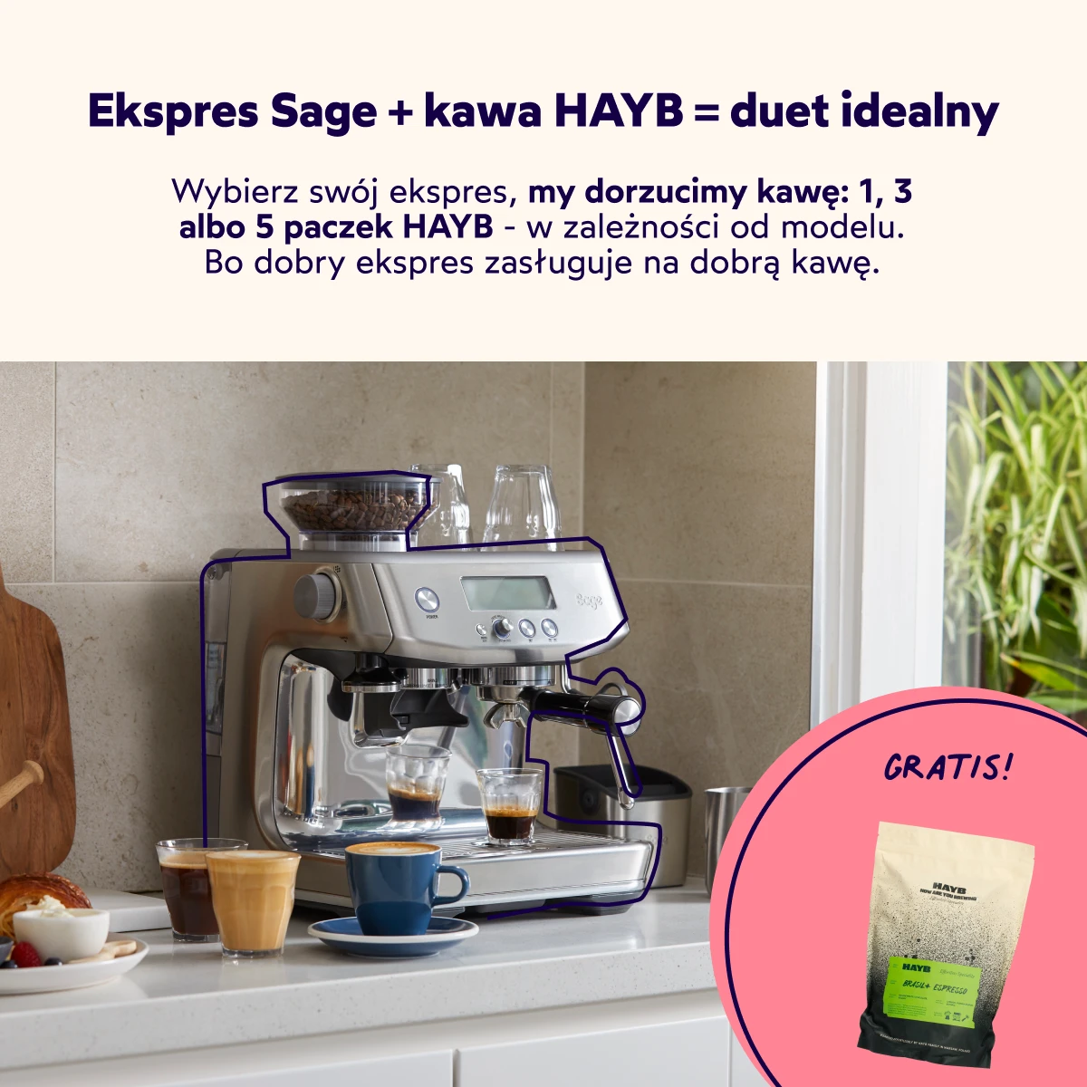 Plik obrazka: SAGEiGRATISY_LP