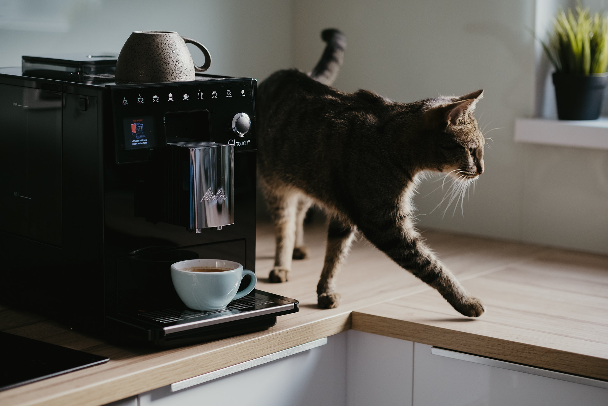Przegląd ekspresów Melitta