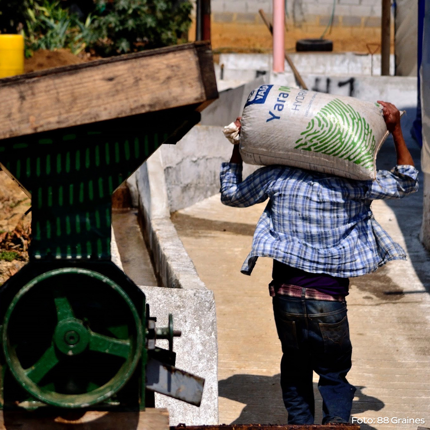 Heresy - Guatemala Huehuetenango La Maravilla Filter 252g