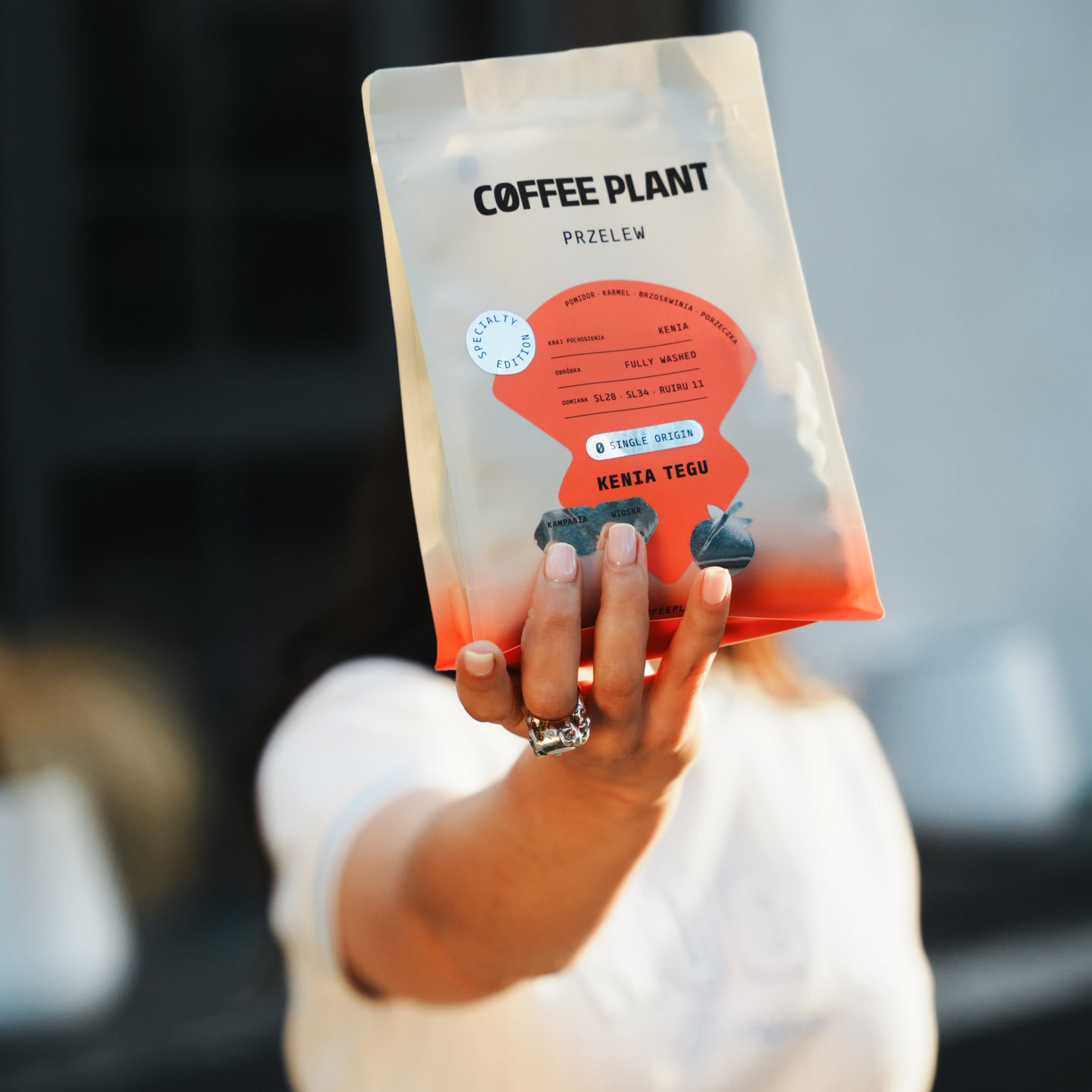 COFFEE PLANT - Kenya Tegu Fully Washed Filter 250 g