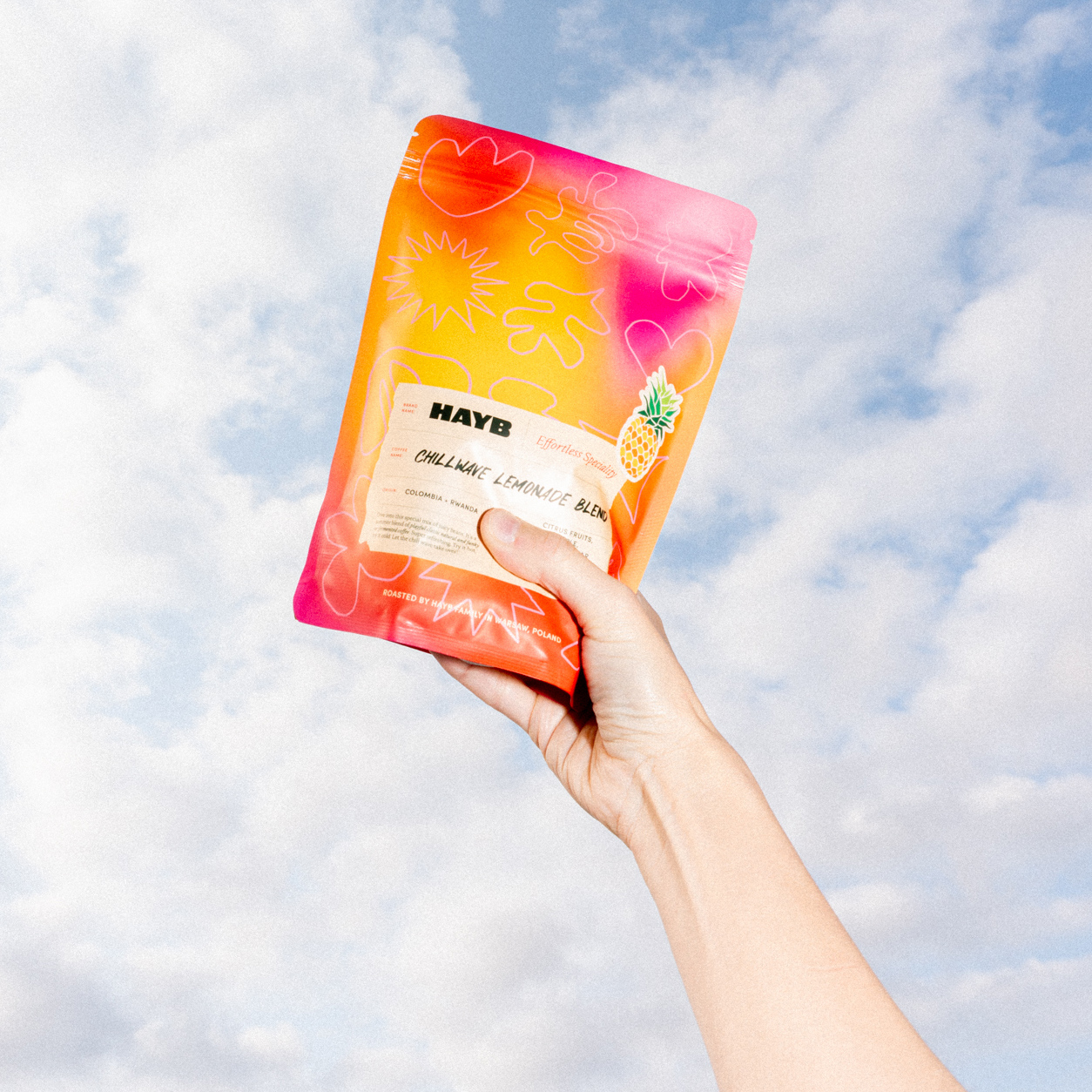 HAYB - Chillwave Lemonade Blend Filter 250g