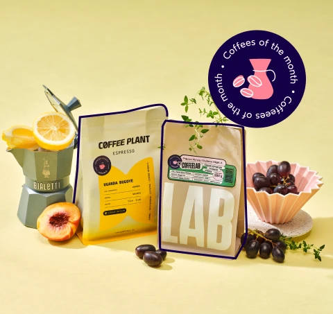COFFEES OF THE MONTH