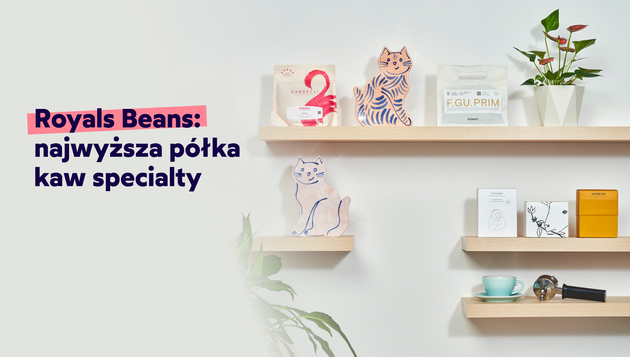 Royal_beans_PL-listing