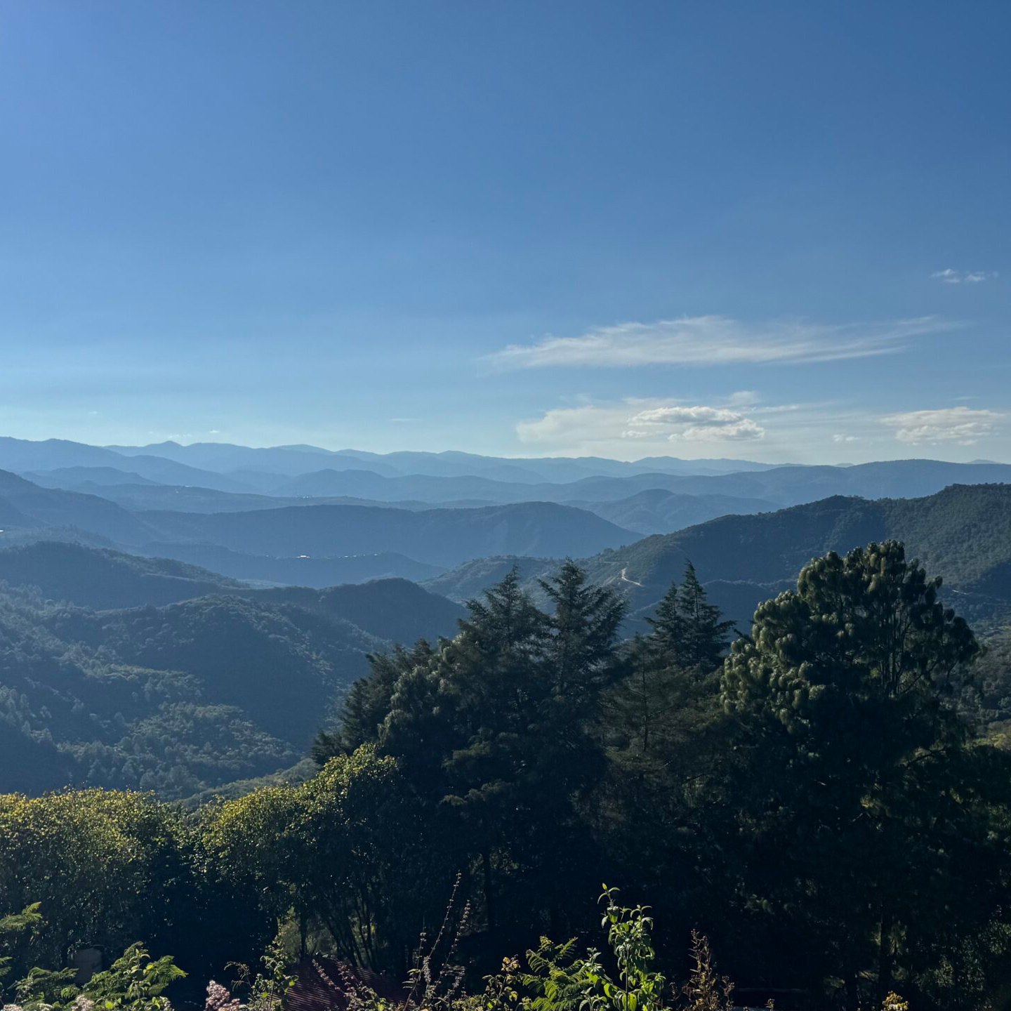 Heresy - kawa ziarnista Meksyk Galguera Gómez Natural Filter 252 g