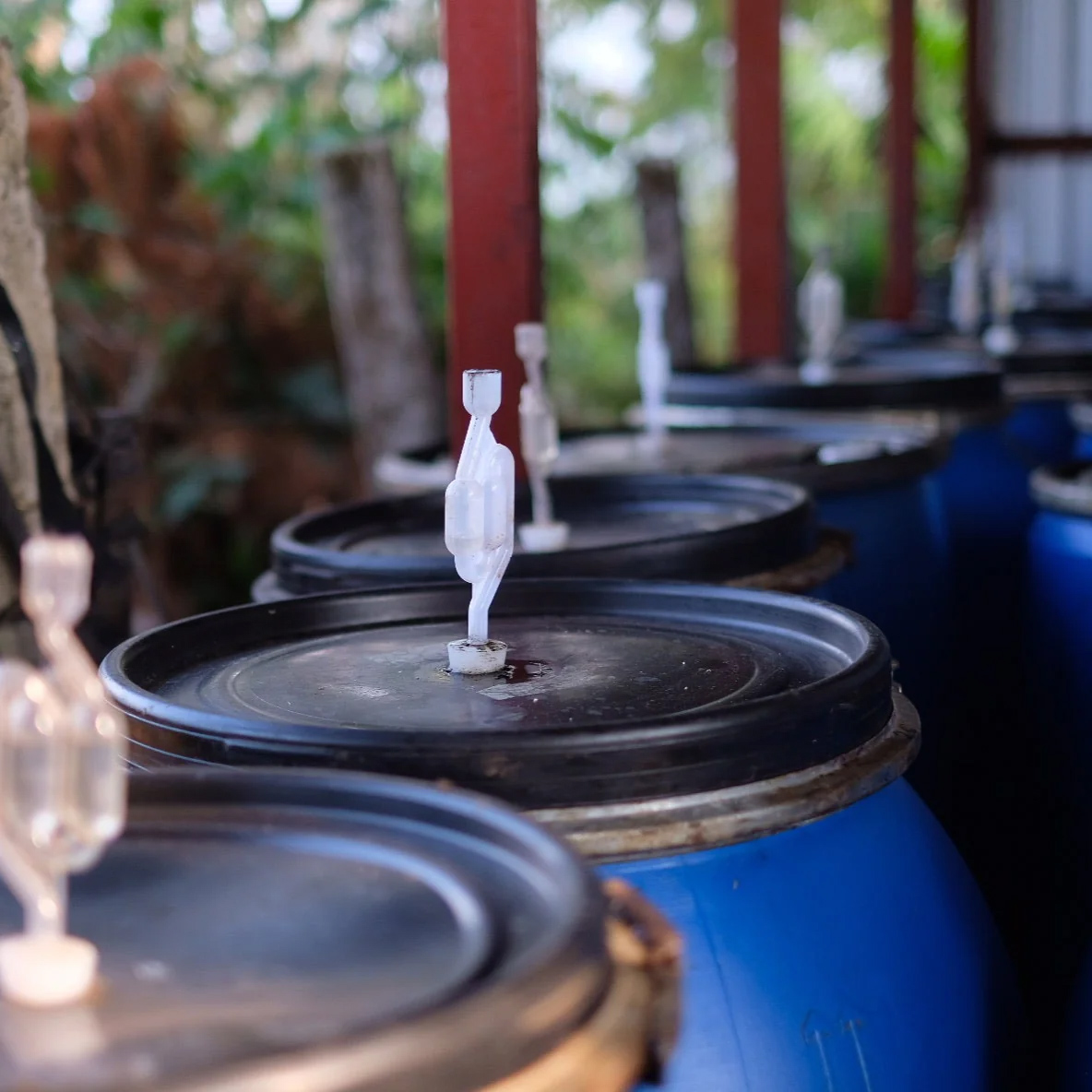 The Barn - El Salvador Himalaya Marsellesa Anaerobic Filter 250 g