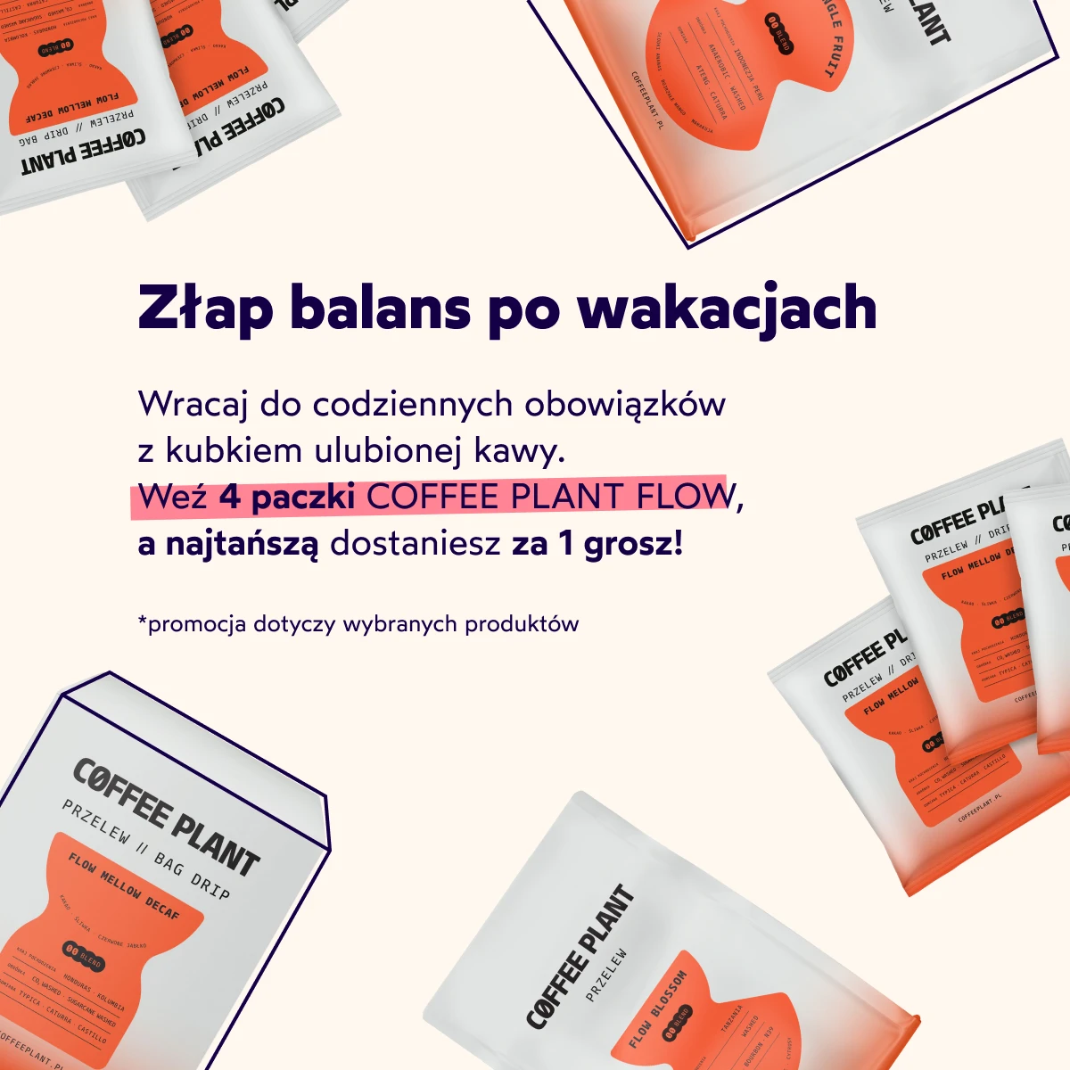 Plik obrazka: listing_coffee_plant_1240x275