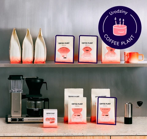 URODZINY COFFEE PLANT