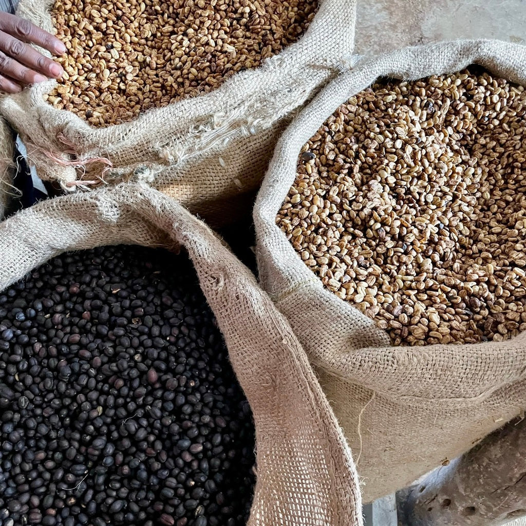 The Barn - kawa ziarnista Etiopia Genesis Natural Omniroast 250 g